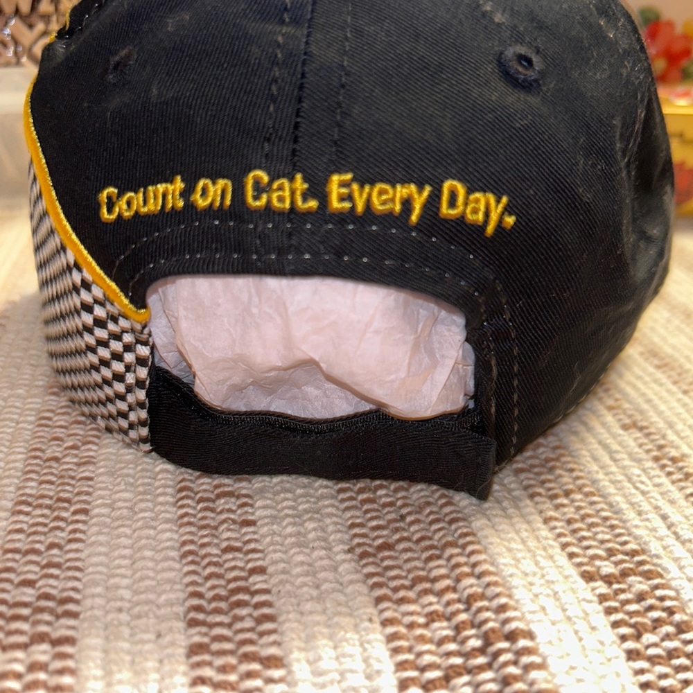 Cat Ball Cap “ Count On Cat.Every Day.” - image 3